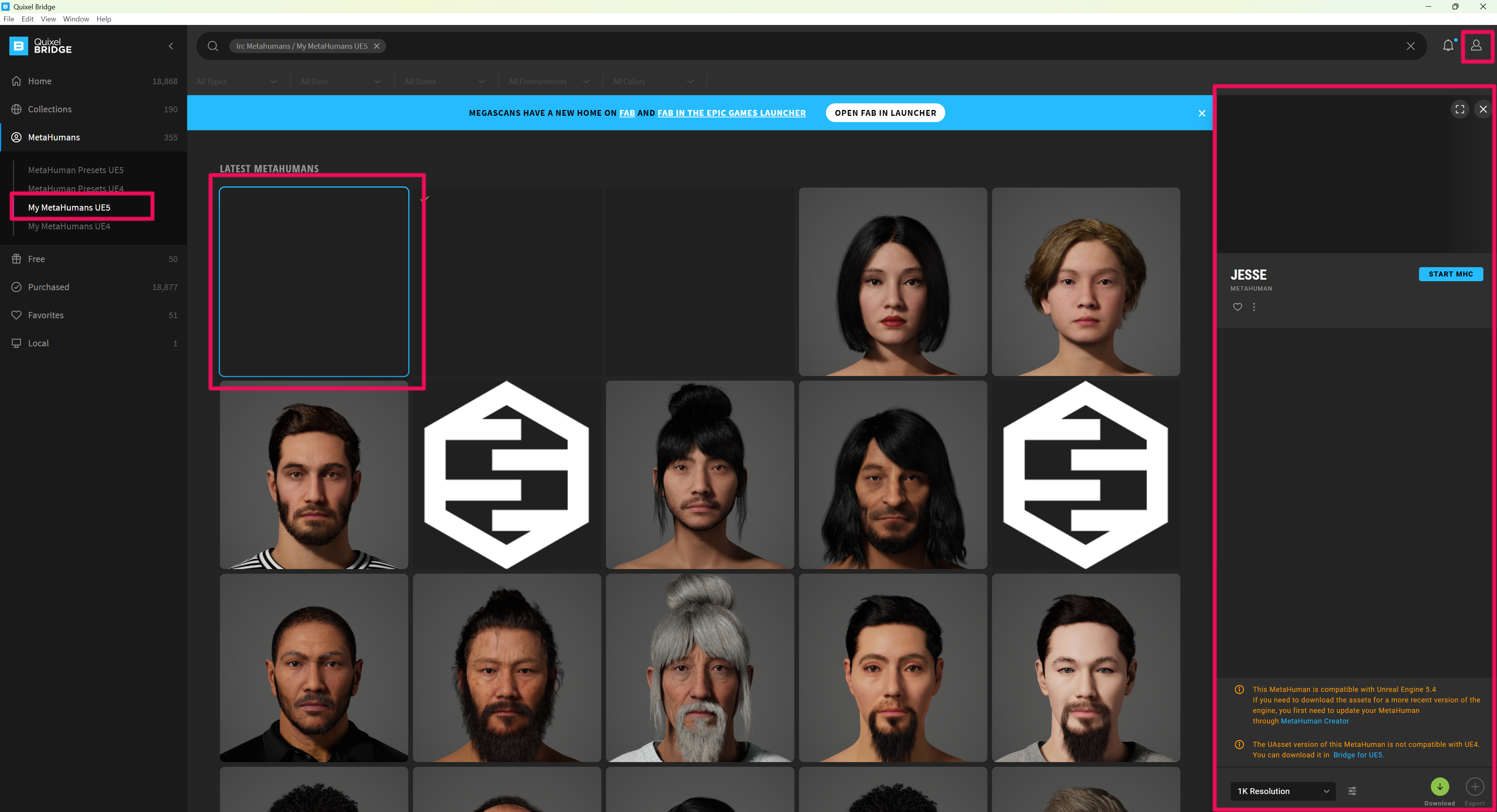 Bridge My MetaHumans