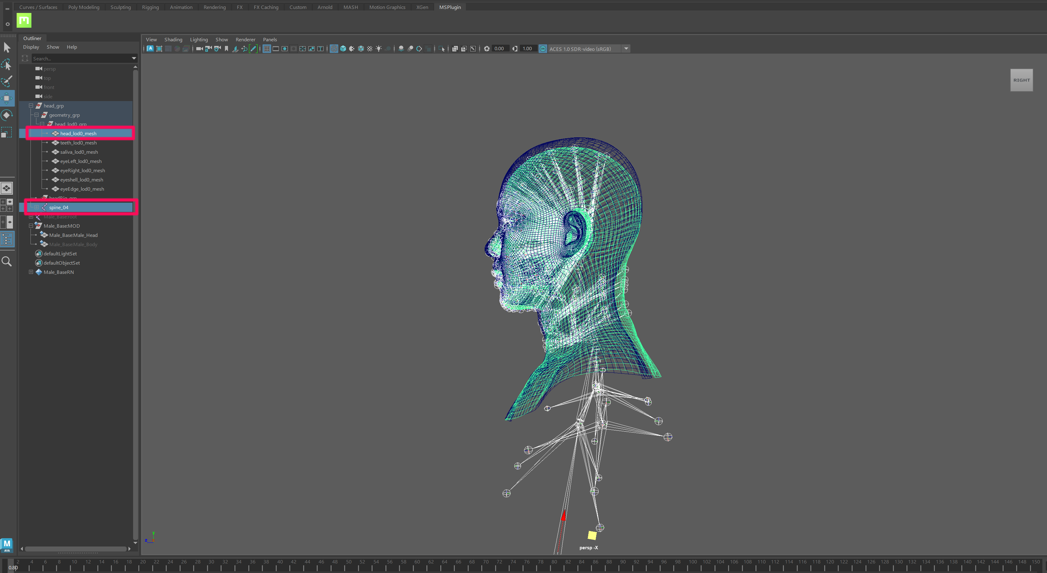 Align Head Mesh